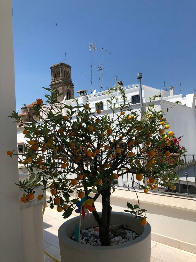 Palazzotto "Fasano Antica"公寓 外观 照片